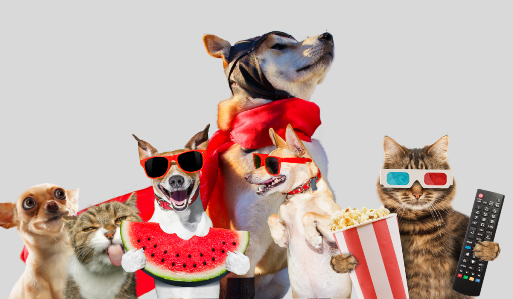 funny animals standing net to each other. Funny pets picture