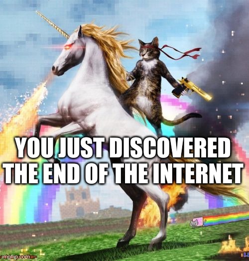 A funny cat meme about the end of the internet.